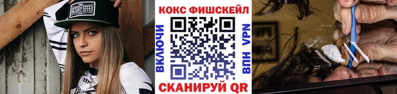 КОКАИН Fish Scale  купить закладку  Полярные Зори 
